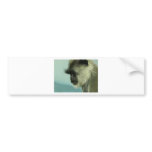 monkey bumper sticker