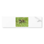 monkey bumper sticker
