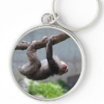 Monkey Business keychains