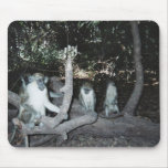 Monkey Business mousepads