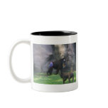 Monkey Butt mugs
