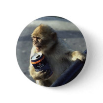 Monkey Drinking Pinback Buttons