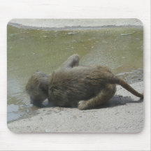 Monkey drinking from pond mouse mats