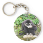 Monkey drinking keychains