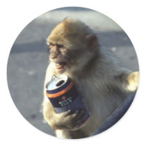 Monkey Drinking Round Stickers