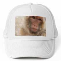 Monkey Face Baseball Hat