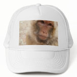 Monkey Face Baseball Hat