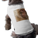 Monkey Face Dog Shirt pet clothing