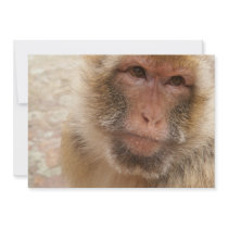 Monkey Face Invitation