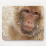 Monkey Face Mouse Pad mousepads