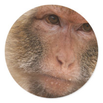 Monkey Face Sticker