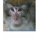 Monkey Face T-Shirt