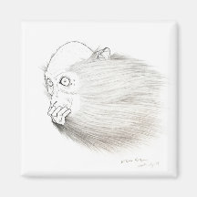 Monkey Fridge Magnets
