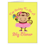 Monkey Future Big Sister