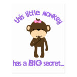 Monkey Has A Secret Big Sister Postcard