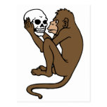 Monkey Holding A Skull Postcard
