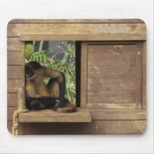 monkey house mouse mats