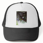 Monkey in a tree hats