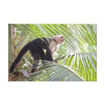 Monkey in Bamboo Jungle Photo Gallery Wrapped Canvas