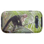 Monkey in Bamboo Jungle Photo Samsung Galaxy S3 Case