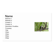 Monkey in the Jungle Business Card Template