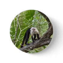 Monkey in the Jungle Button