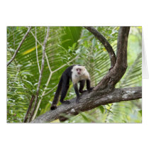 Monkey in the Jungle Greeting Card