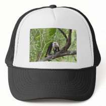 Monkey in the Jungle Trucker Hat