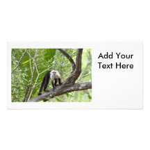 Monkey in the Jungle Picture Card