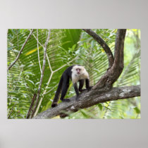 Monkey in the Jungle Print