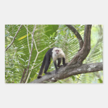 Monkey in the Jungle Rectangular Stickers