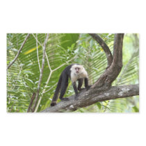 Monkey in the Jungle Rectangular Stickers