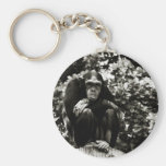 Monkey keychain