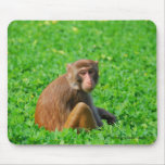 Monkey Mousepad