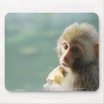 Monkey Mousemat