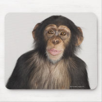 Monkey Mouse Mats