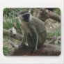 Monkey Pad