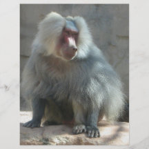 Monkey Personalized Flyer