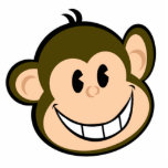 monkey photo sculptures