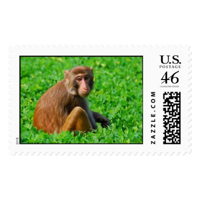 Monkey Postage by MarkAmy