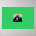 monkey posters