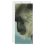 monkey custom rack card