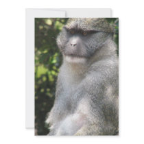 Monkey See, Monkey Do Invitation