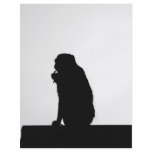 Monkey  Silhouette flyers