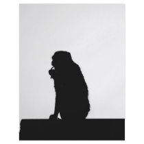 Monkey  Silhouette Full Color Flyer