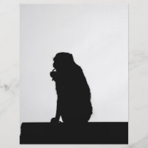 Monkey  Silhouette Full Color Flyer