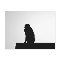 Monkey  Silhouette Postcards