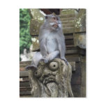 Monkey sitting at a statue in Bali postcards