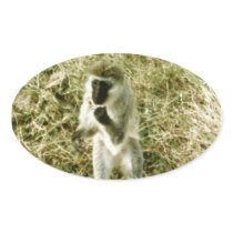 Monkey Oval Sticker