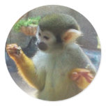 Monkey stickers